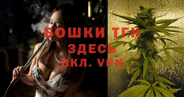 прущие грибы Арсеньев