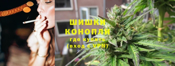 прущие грибы Арсеньев