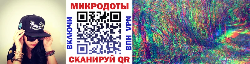 дарнет шоп  Новодвинск  Галлюциногенные грибы Psilocybe 