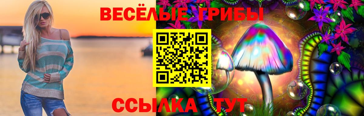 Галлюциногенные грибы ЛСД Новодвинск